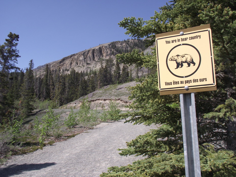A photo of the 'You Are in Bear Country' sign on the Soldier's Summit trail.