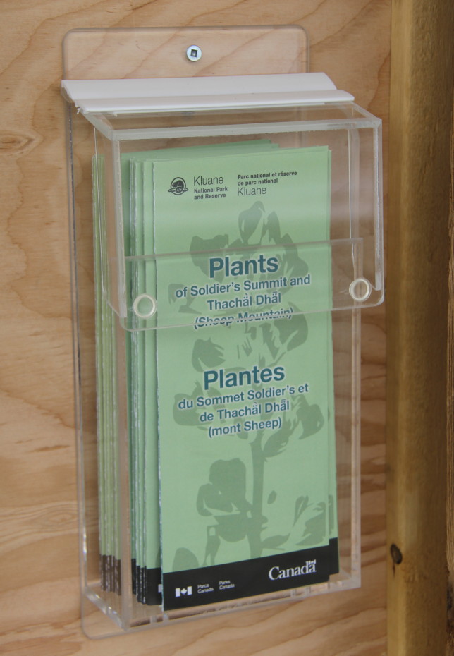 Plants of Soldier's Summit and Tachal Dhal (Sheep Mountain)