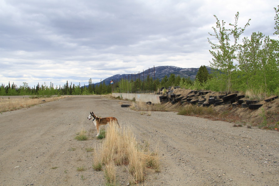 K.M.A. Speedway, 2013 - Whitehorse, Yukon
