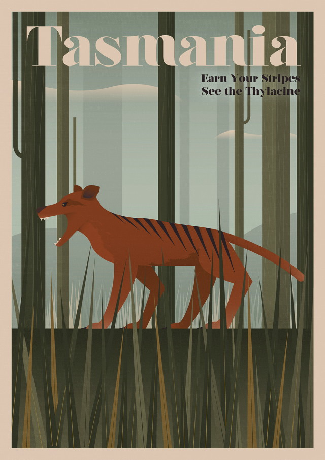 Unknown Tourism: Tasmania - Earn your Stripes, see the Thylacine