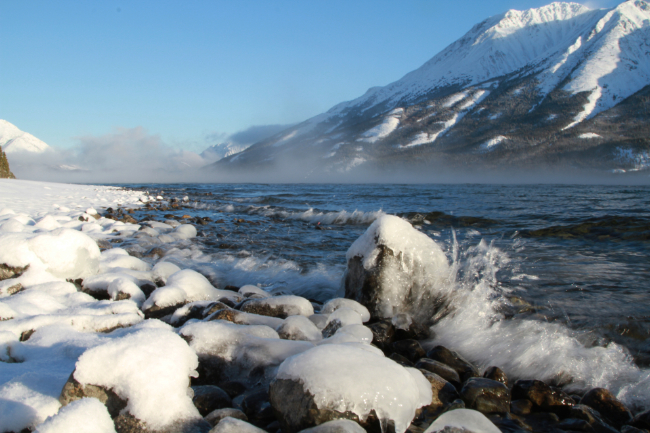 An icy winter wander to Tutshi Lake, BC