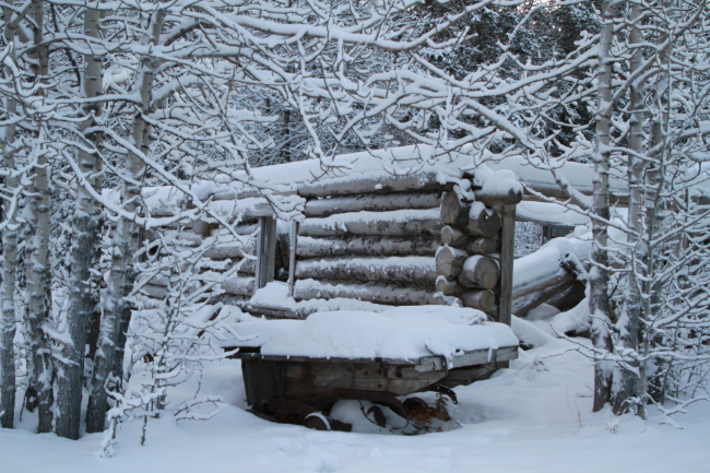 The ghost town of Silver City, Yukon, in mid winter