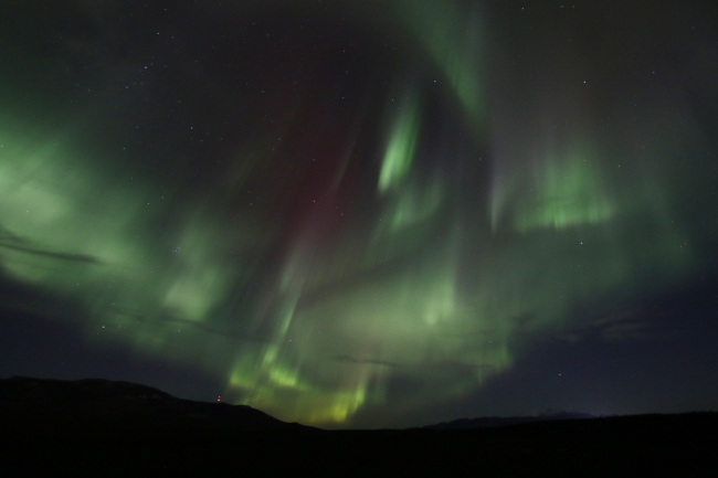 The aurora bloearlis at Whitehorse, Yukon