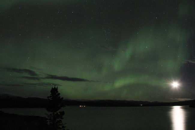 To Kluane Lake for Aurora Borealis viewing