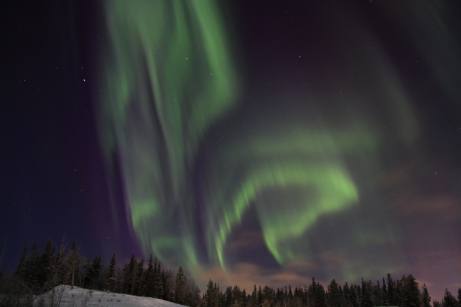 Aurora borealis over the Alaska Highway