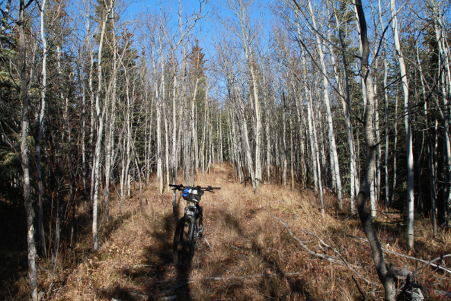 Exploring around Braeburn, Yukon, by e-bike