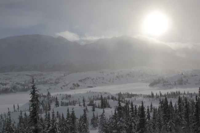 In the stormy White Pass in January