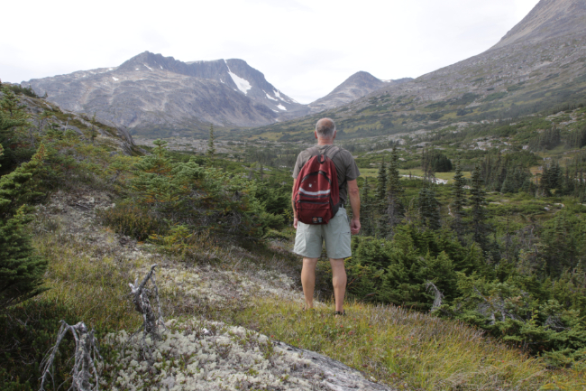 Looking at the headwater valley of Summit Creek in the White Pass.