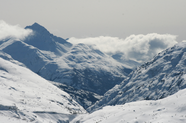 The White Pass summit in March