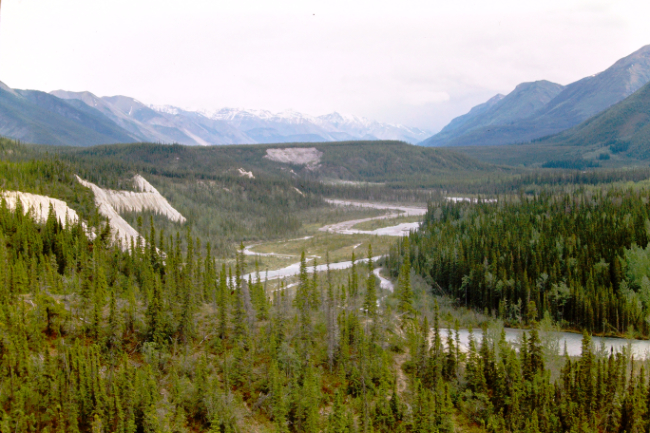 , June 1966