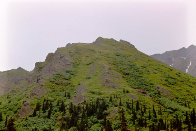 Mount McKinley National Park, June 1966