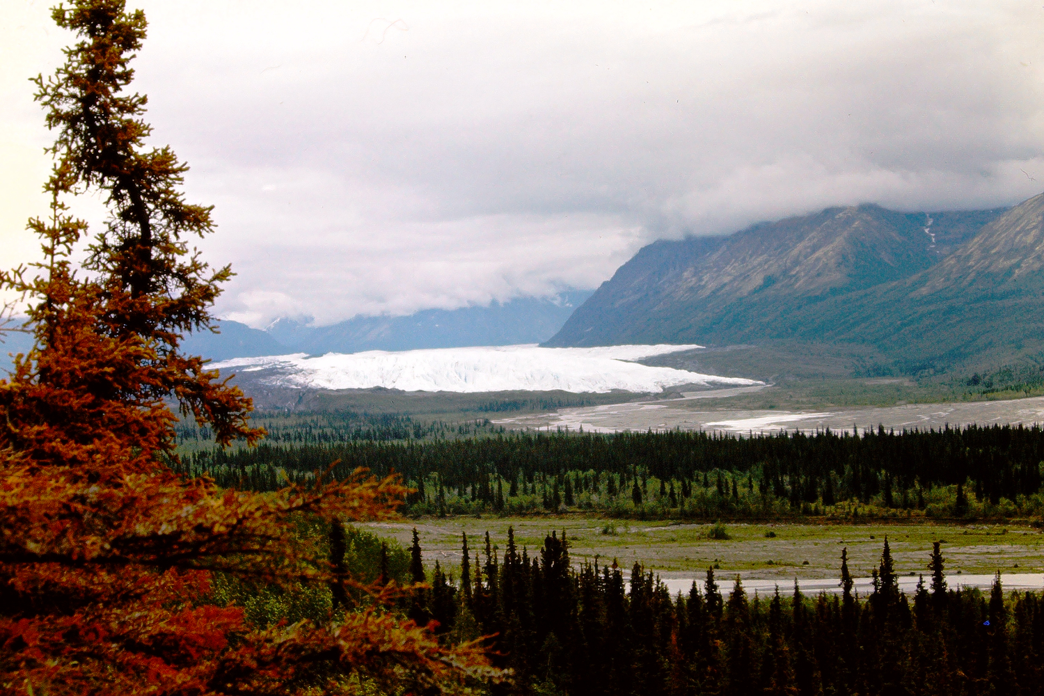 The Matanuska Glacier, 1966