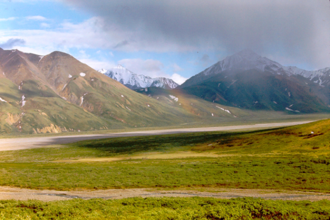 Mount McKinley National Park, July 1966