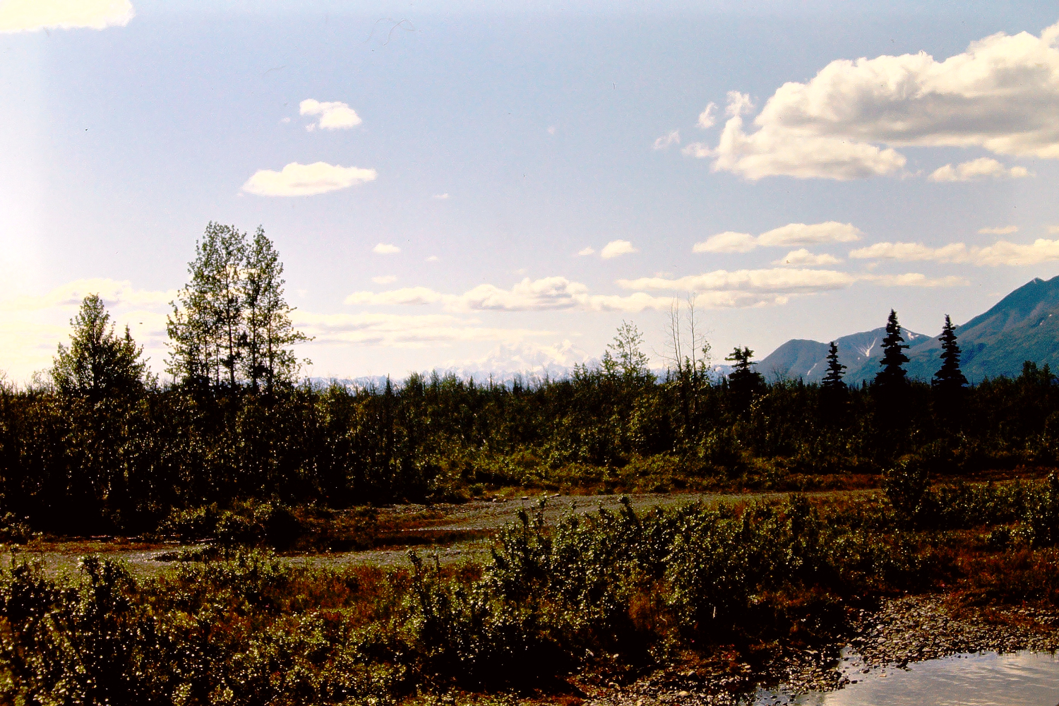 Mount McKinley, 1966