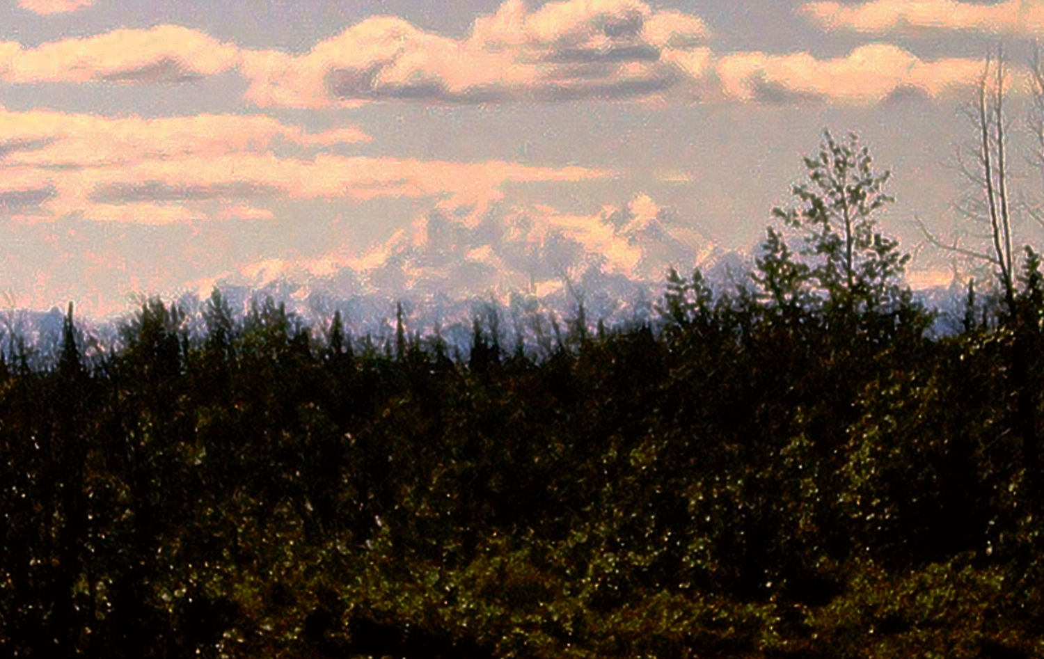 Mount McKinley, 1966