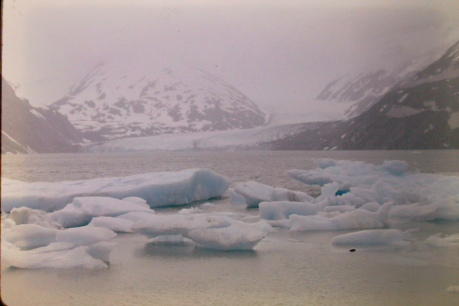 Portage Glacier, July 1966