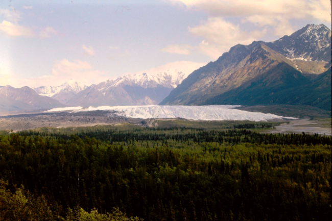 The Matanuska Glacier along the Glenn Highway, July 1966