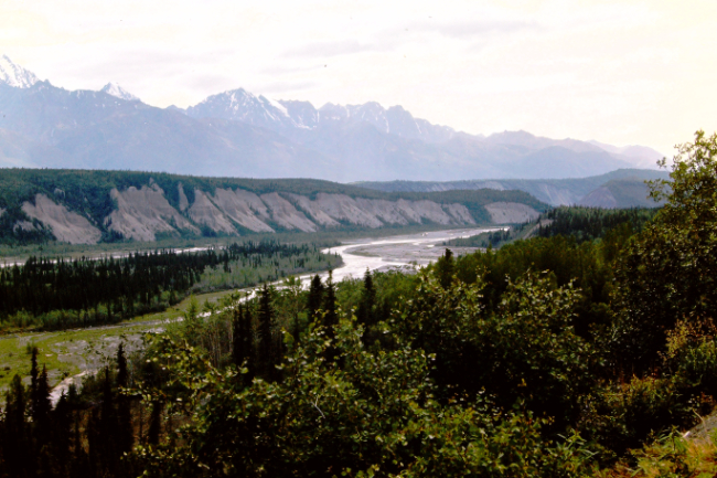 The Copper River along the Tok Cutoff, July 1966