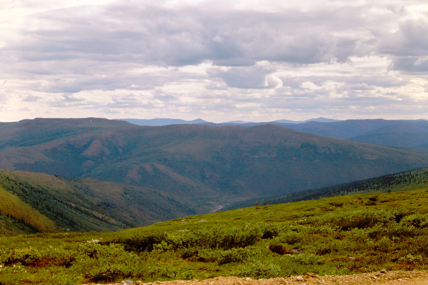 Looking down into one of the placer gold mining creeks along the Top of the World Highway, August 1966.