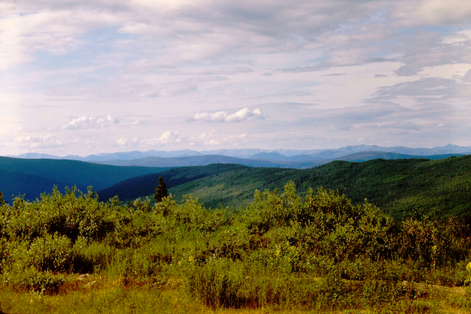 Descending into the Yukon River Valley on the Top of the World Highway, 1966
