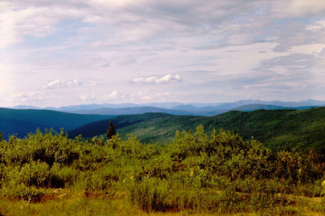 The Top of the World Highway, August 1966