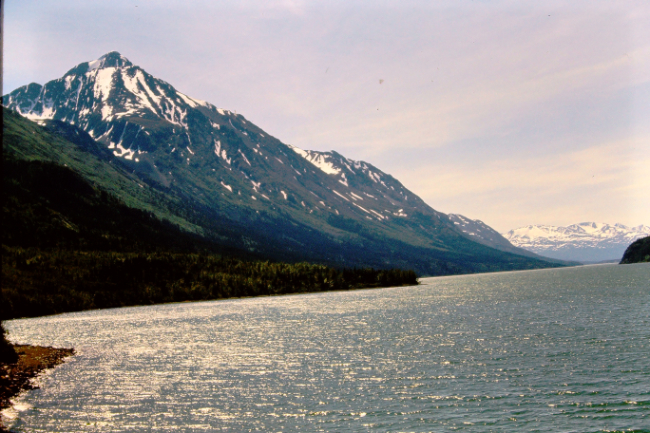 Lake Bennett, July 1966