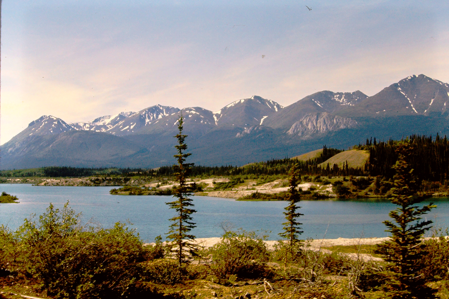 Lewis Lake, Yukon, 1966