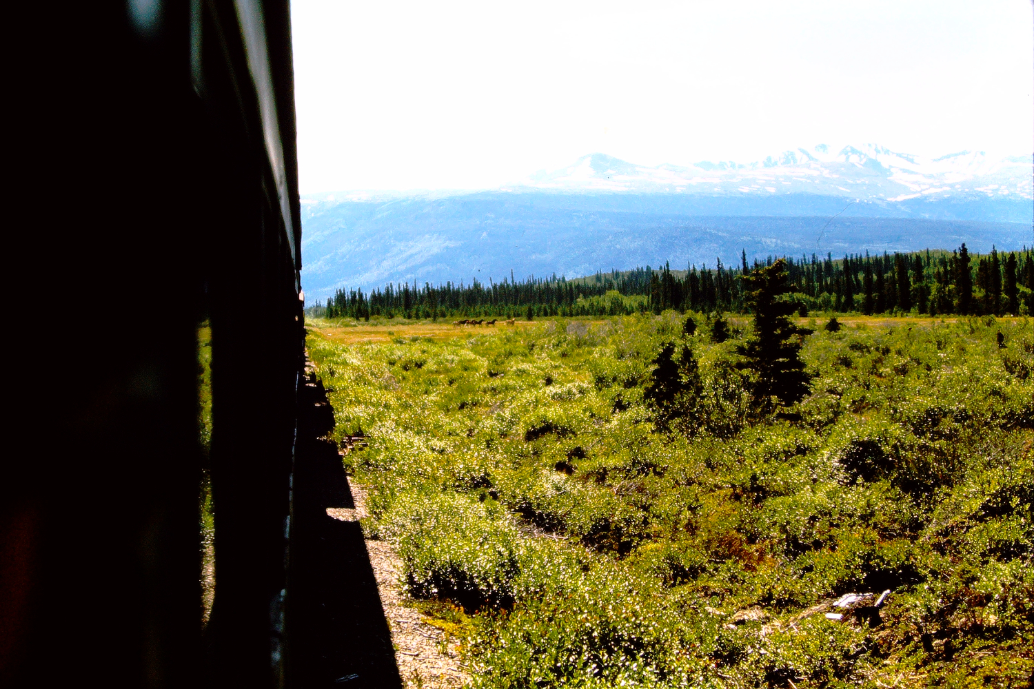 White Pass & Yukon Route railway north of Carcross, 1966