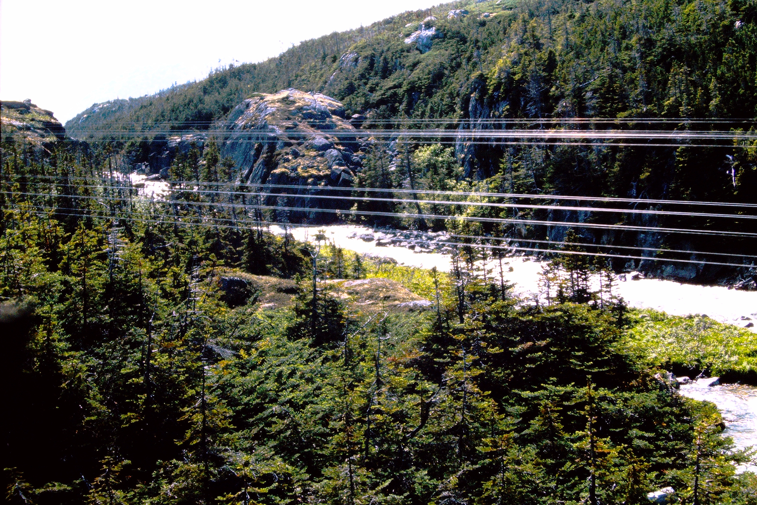 The Thompson River at about Mile 26 of the White Pass railway, 1966