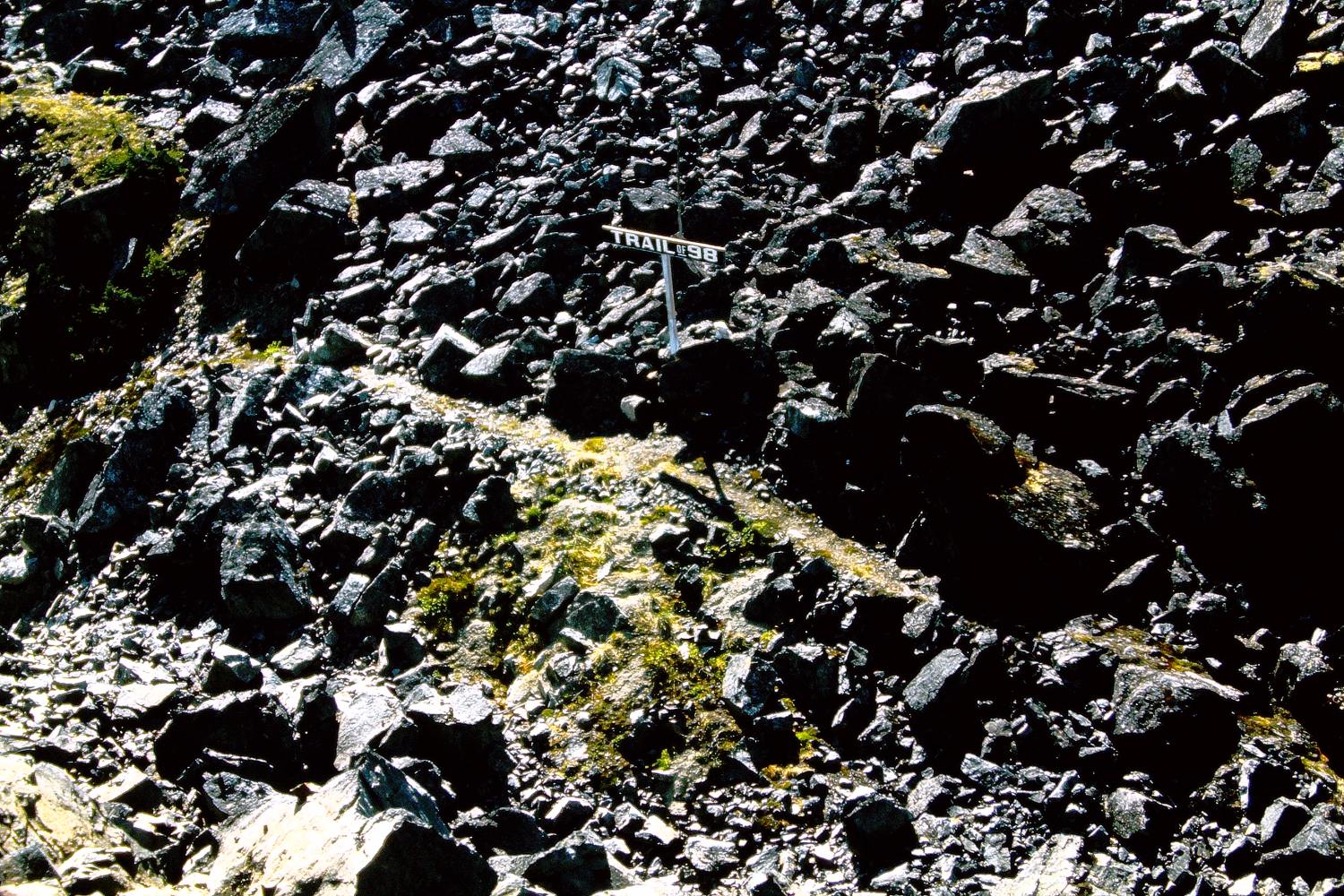 The narrow Trail of '98 along the White Pass railway, July 1966