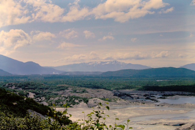 Mendenhall Glacier, July 1966
