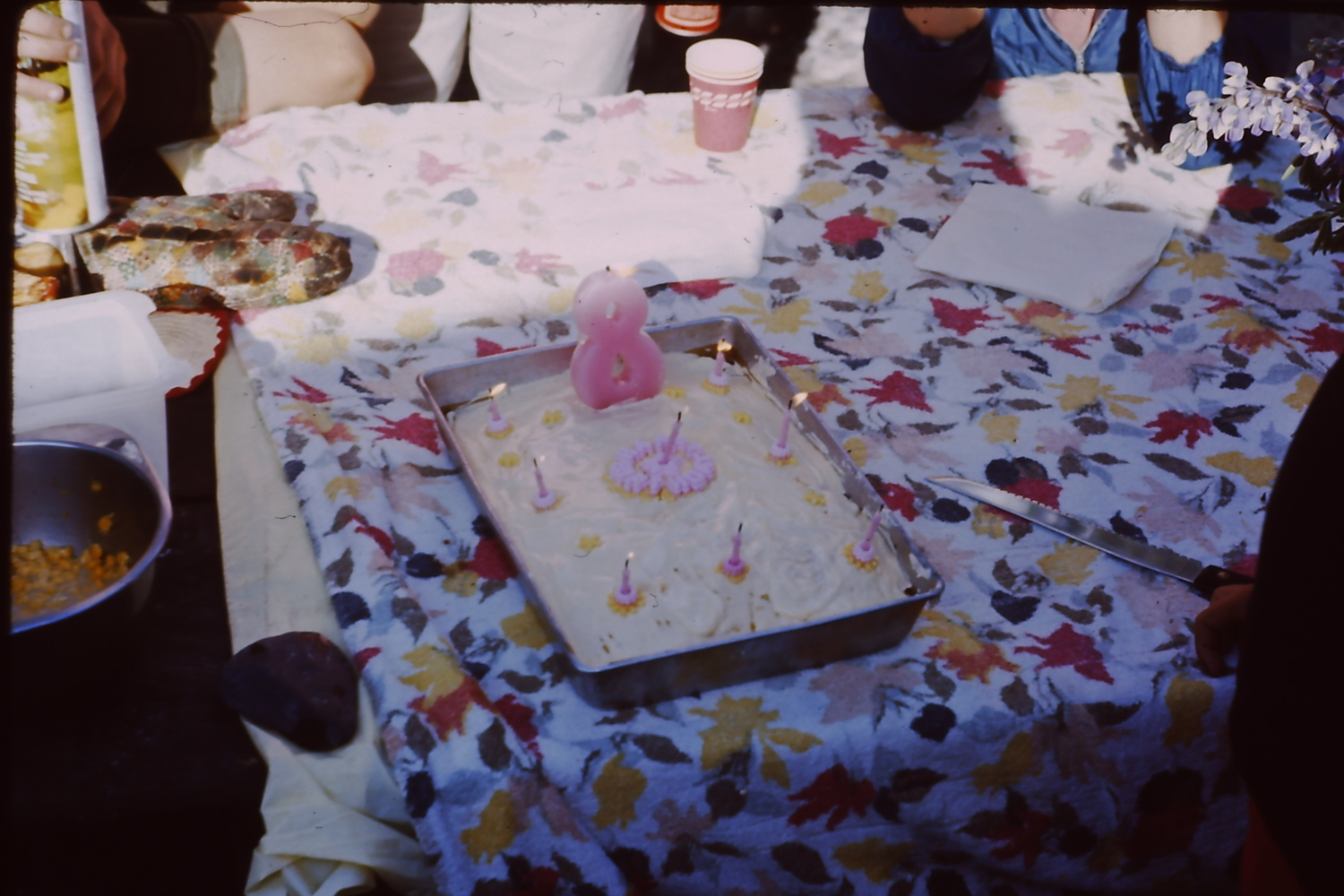 8th Birthday in Juneau, Alaska, 1966