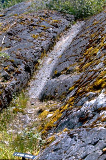 Glacial groove at Mendenhall Glacier, July 1966