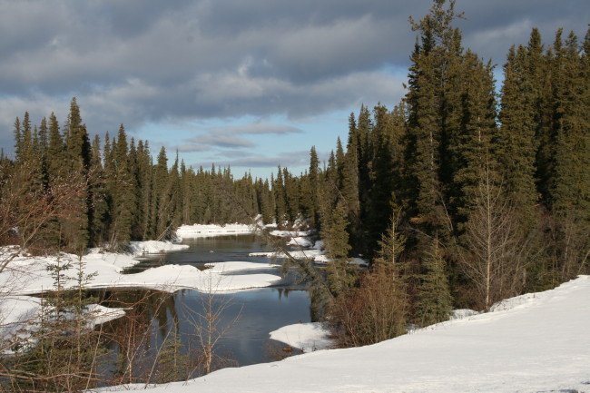 Morley River - April 13, 2008