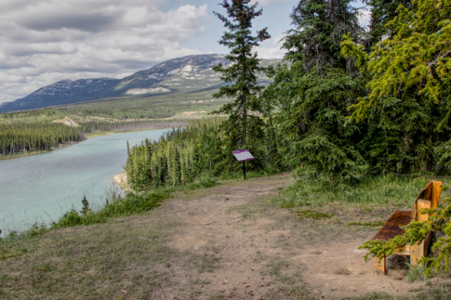 Hiking trail overlooking the Yukon River at the Wolf Creek Campground, Yukon