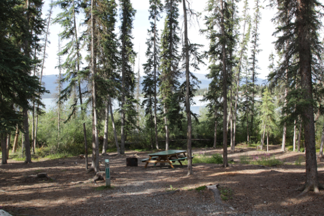 Walk-in tent sites at Marsh Lake Campground, Yukon