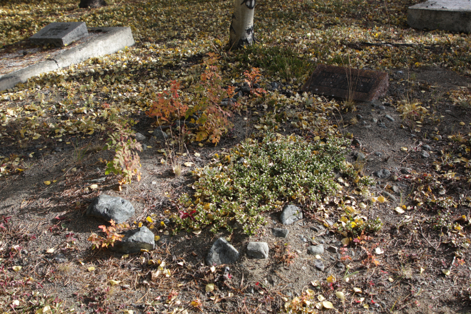 Grave of Alice Nelson in the Atlin Cemetery, BC
