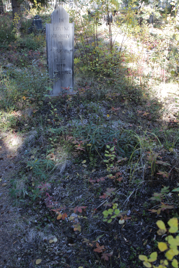 Grave of William George Paxton in the Atlin Pioneer Cemetery, BC