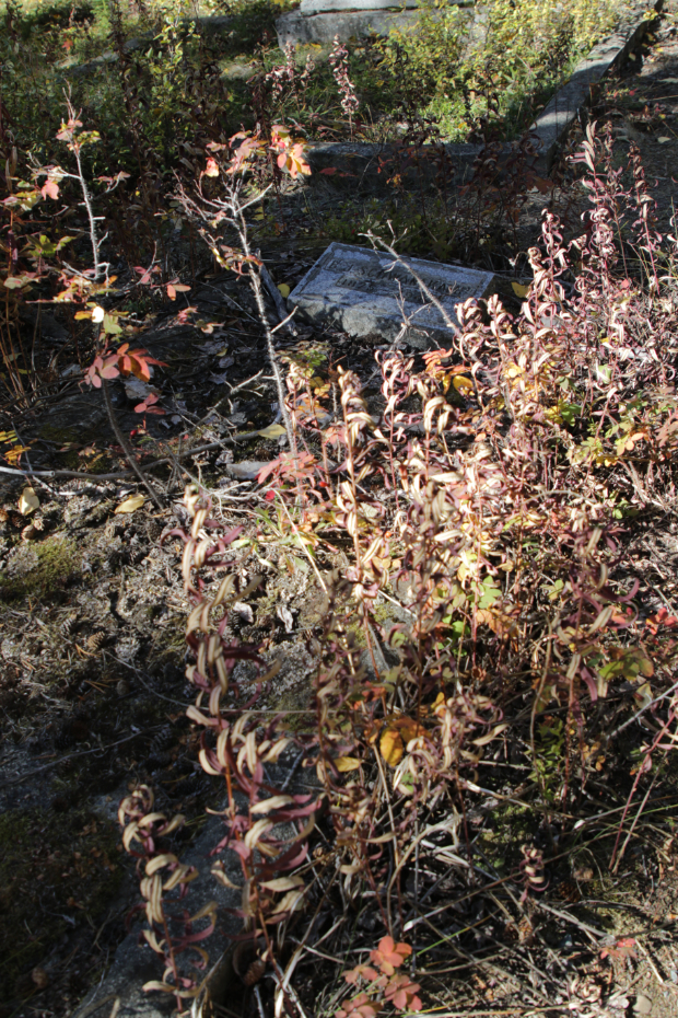 Grave of Bernard Joseph 'Barney' Schwanekamp in the Atlin Pioneer Cemetery, BC