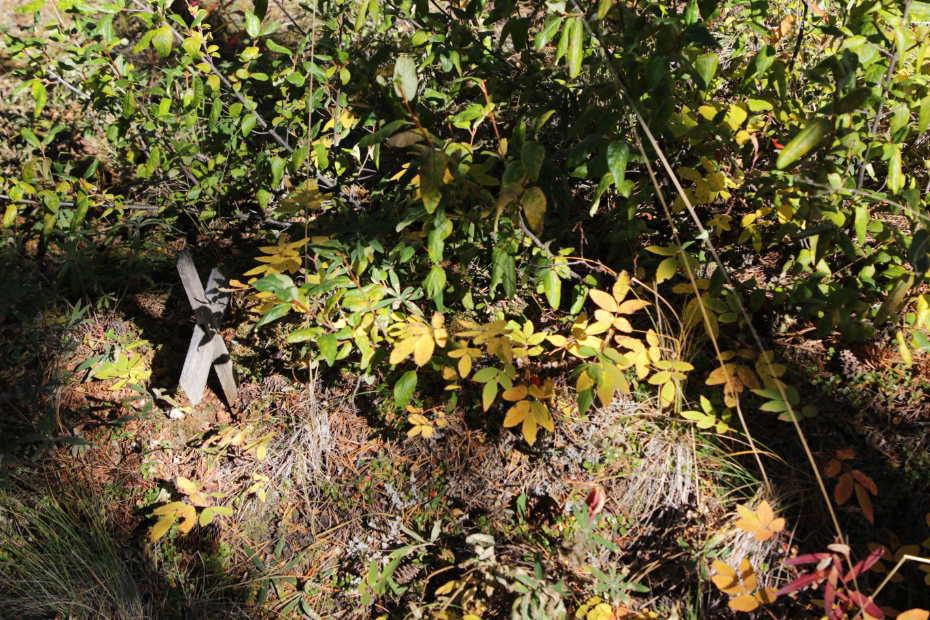 Grave of an unknown person in the Atlin Pioneer Cemetery, BC