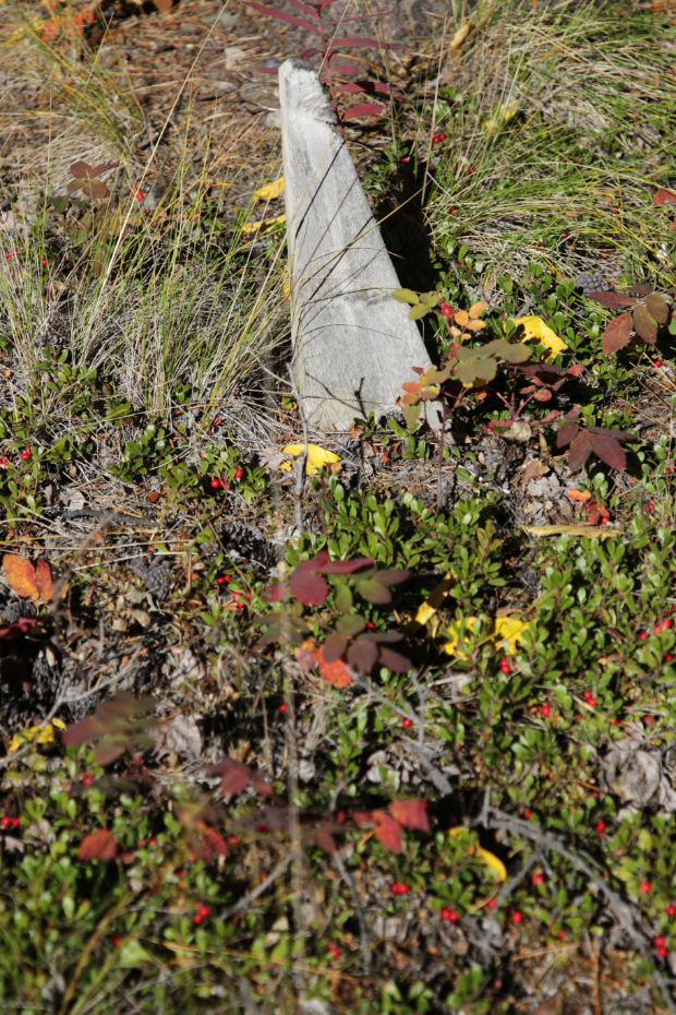 Grave of an unknown person in the Atlin Pioneer Cemetery, BC