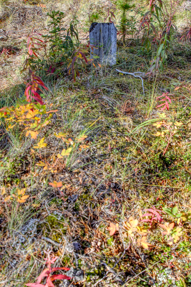 Grave of an unknown person in the Atlin Pioneer Cemetery, BC
