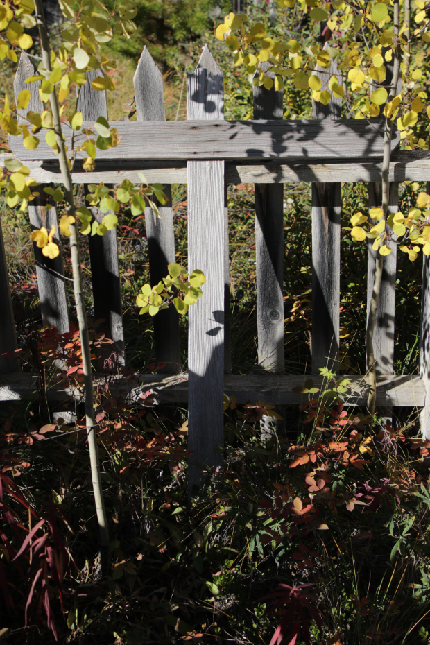 Grave of an unknown person in the Atlin Pioneer Cemetery, BC