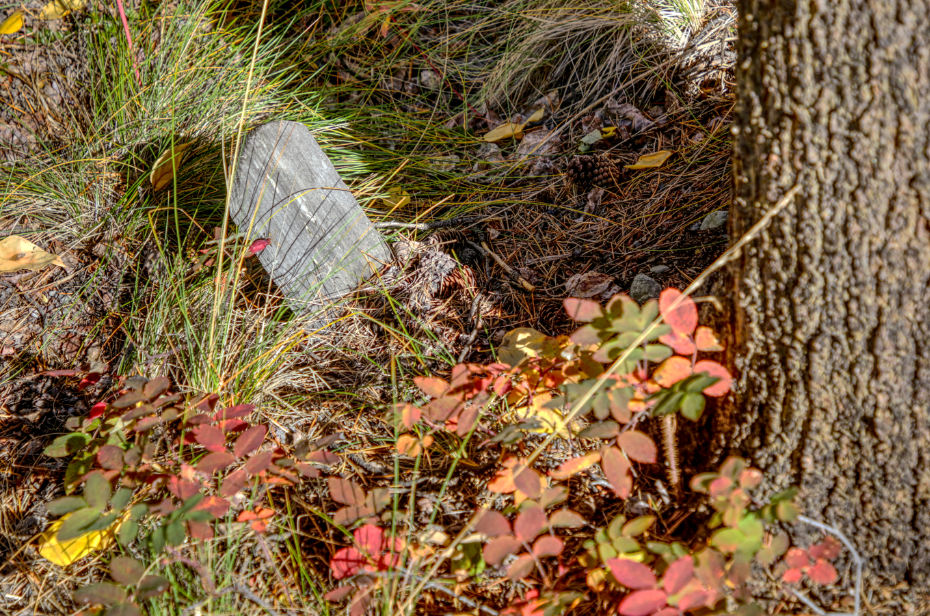Grave of Unknown, probable Japanese baby, in the Atlin Pioneer Cemetery, BC