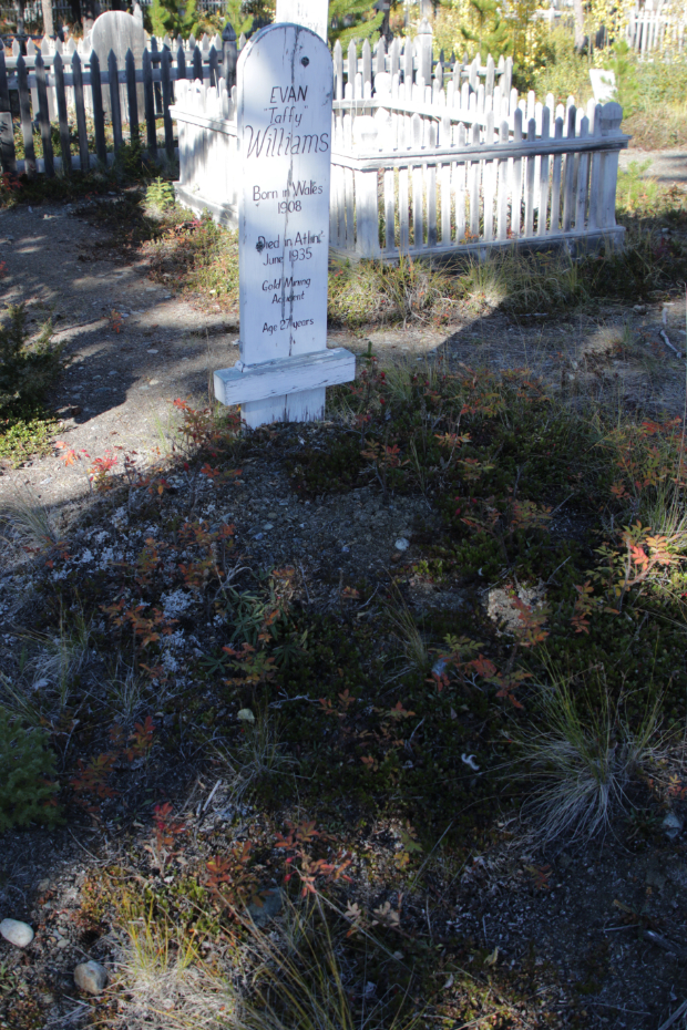 Grave of Evan 'Taffy' Williams in the Atlin Pioneer Cemetery, BC