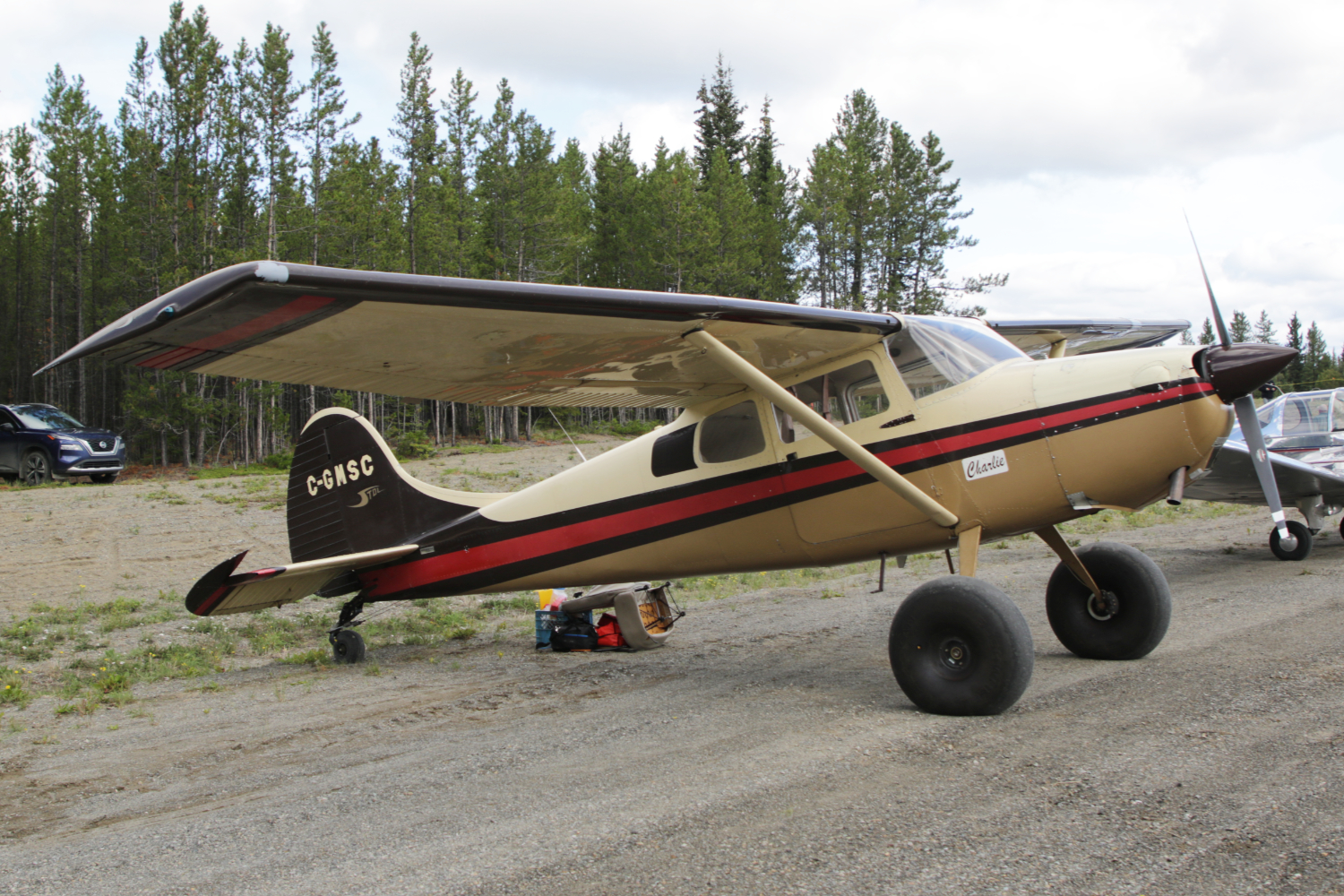 A photo of C-GMSC, a 1956 Cessna 170B, at Cousins Airport, Yukon (CFP8), on July 25, 2026.