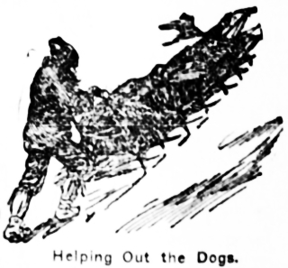 Dr. Varicle's North Pole expedition, 1905 - helping out the dogs