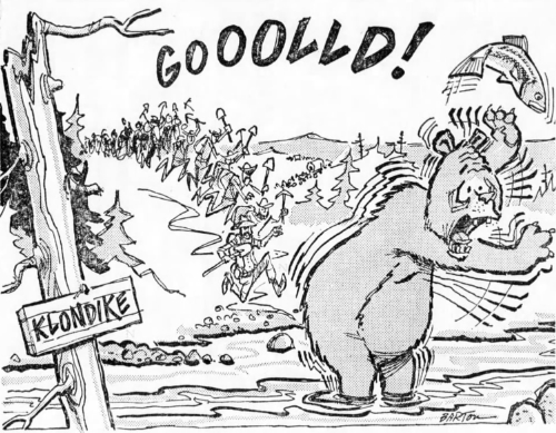 Barton cartoon, 1967 - bear scared by gold-miner stampede to creek