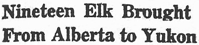 'Dawson Weekly News' newspaper - Dawson City, Yukon Territory, 1951