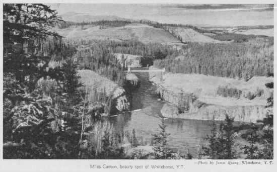 Whitehorse hospital, 1947